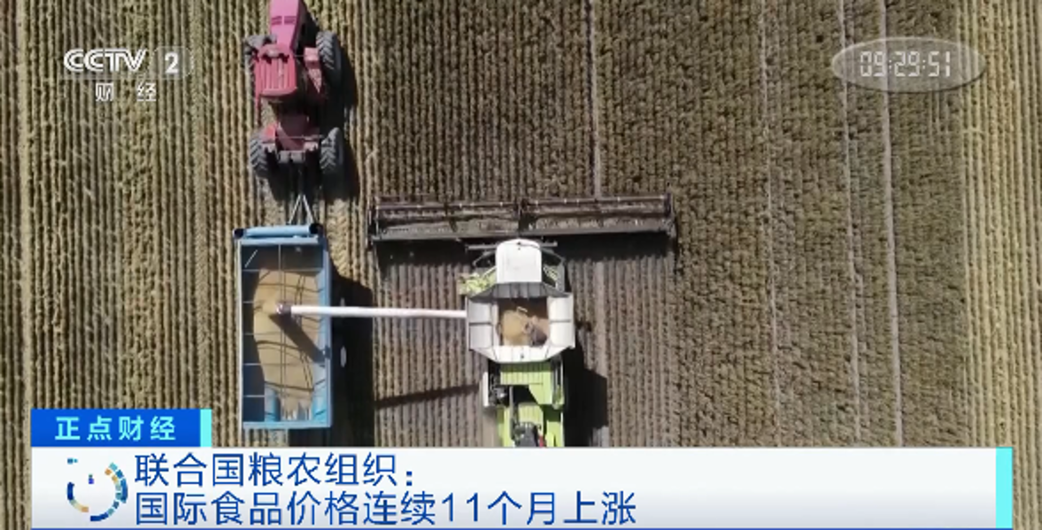 国际食品价格“11连涨”！