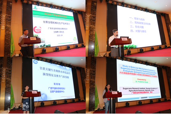 “甘蔗育种与生物技术”国际研讨会暨广西甘蔗学会2020年年会在河池顺利召开!
