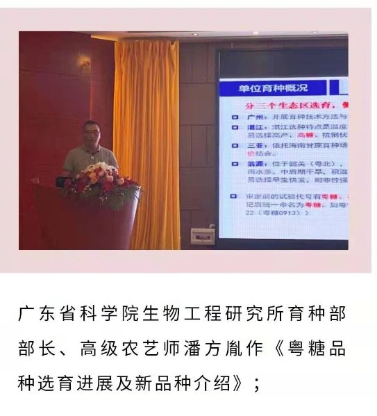 云南甘科所、广西甘科所、广州甘科所、德宏州甘科所分别对培育、选种、病虫灾害防控进行了分享