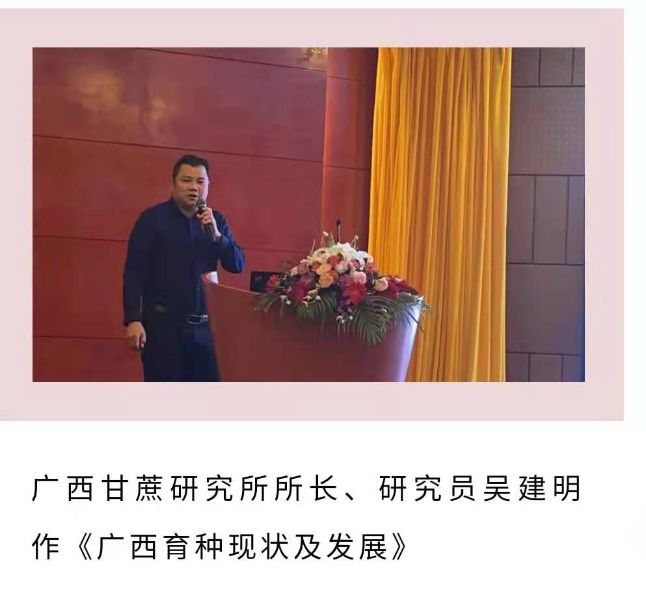 云南甘科所、广西甘科所、广州甘科所、德宏州甘科所分别对培育、选种、病虫灾害防控进行了分享