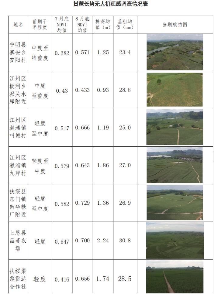 桂西南蔗区生长恢复 近期天气利于甘蔗生长