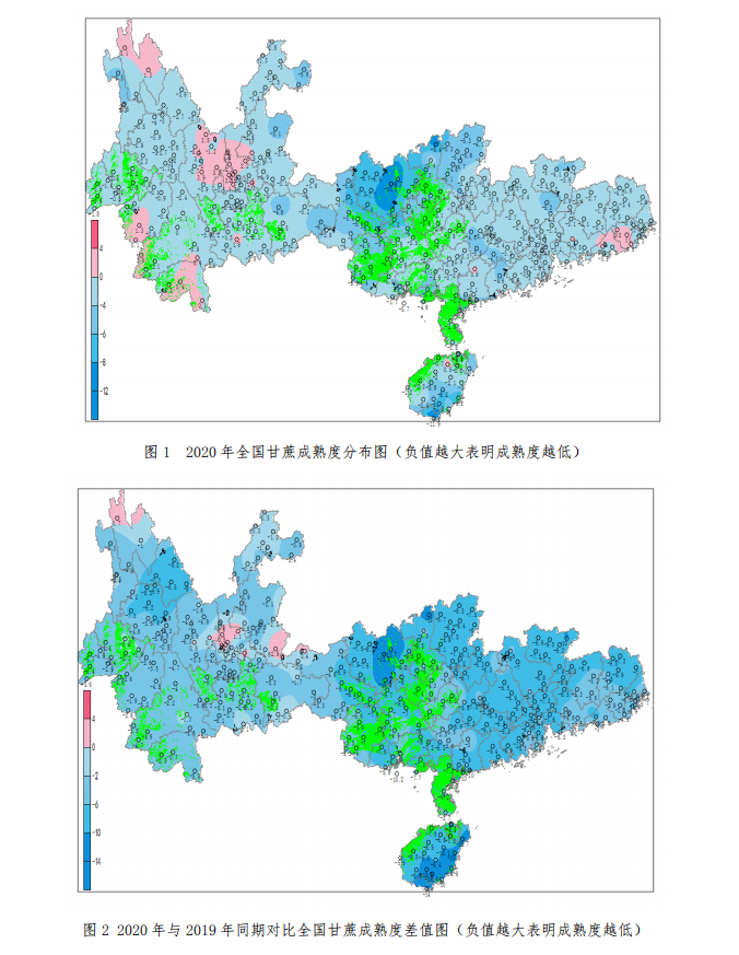 2020年甘蔗成熟度分析评估