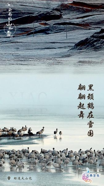 最高或降8℃！强冷空气即将到达云南，这些地方有雪