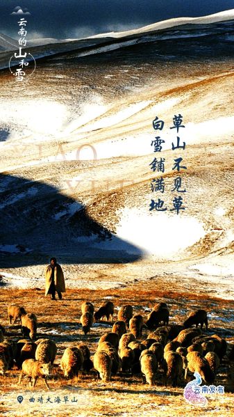 最高或降8℃！强冷空气即将到达云南，这些地方有雪