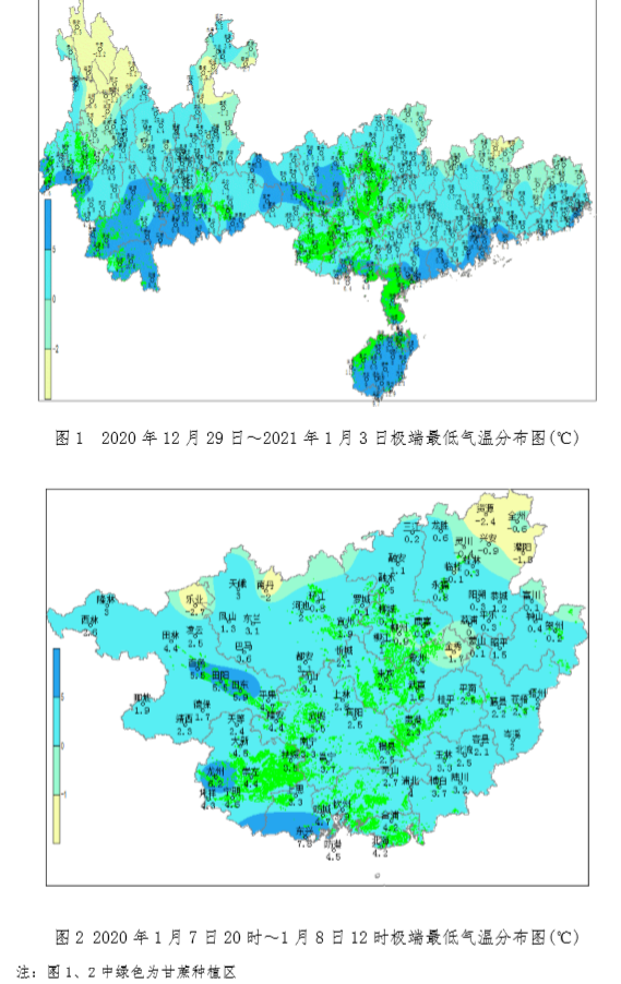 广西：冷空气影响频繁 做好防范和抢晴砍收