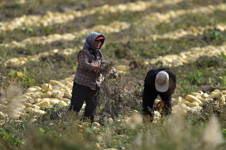 为了让你吃上一口糖，国家真是操碎了心