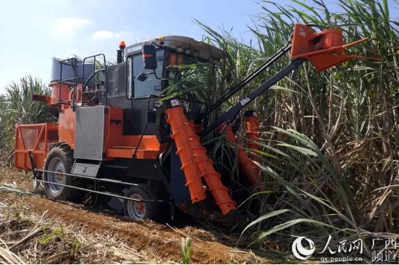 为甜蜜事业添动力！广西农投成功研制新型甘蔗收获机