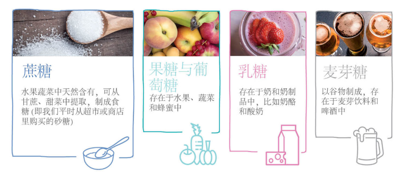 英联糖业中国 发起“科学理解糖”活动