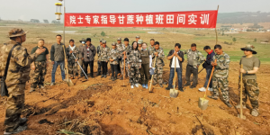 云南中云上允糖业有限公司：在甘蔗良种繁育基地种下“希望苗”