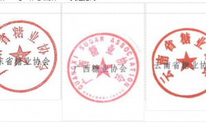 关于召开 2026 食糖市场形势分析会议的通知