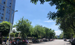 28日加工糖现货报价综述
