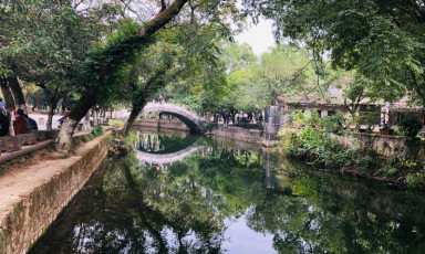 ISO将2025/26年度全球糖市过剩预估上调至224.4万吨